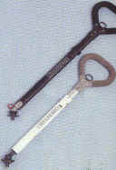 wpe634.jpg (45304 Byte)