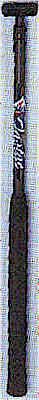 wpe621.jpg (5231 Byte)