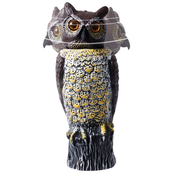 Vogelabwehr Vogelabwehr