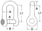 Preview: Ankerschäkel AISI 316 6 mm