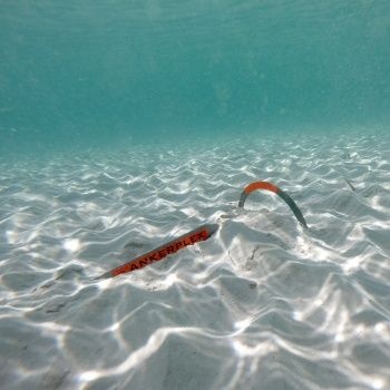 Faltanker aus feuerverzinktem Stahl – 1,5 kg - Zusatzbild 2