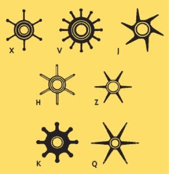 Impeller aus Neopren für Aifo Pumpe von Allpa