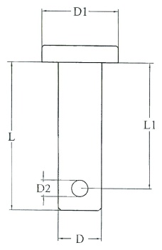Steckbolzen 21x5 mm (2 Stück) - Zusatzbild 1
