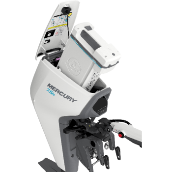 AVATOR™ 7.5 ESH Kurzschaft Electric Kit - Zusatzbild 2