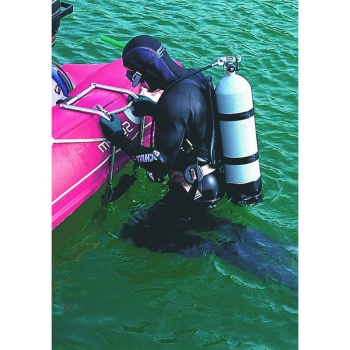 PLATTFORM-LEITER GRAUE STUFEN