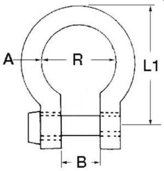 Geschweifter Schäkel AISI 316 4 mm