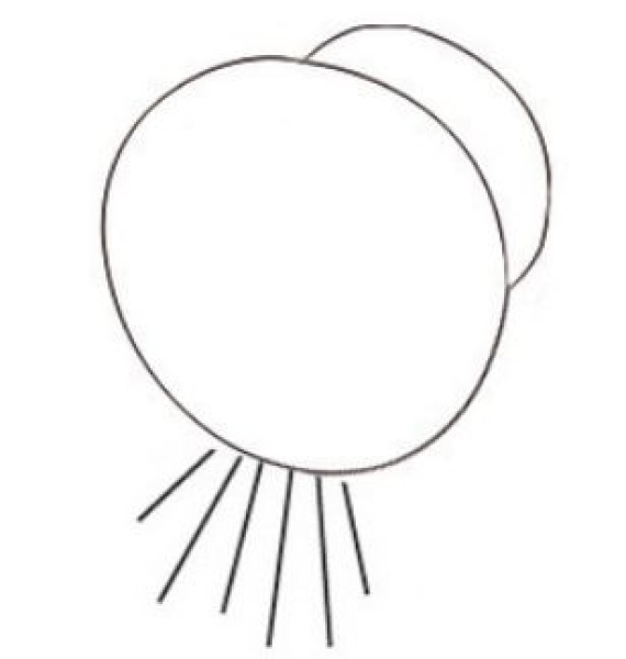 ROUND LED-Einbau Orientierungslicht Lumen: 9