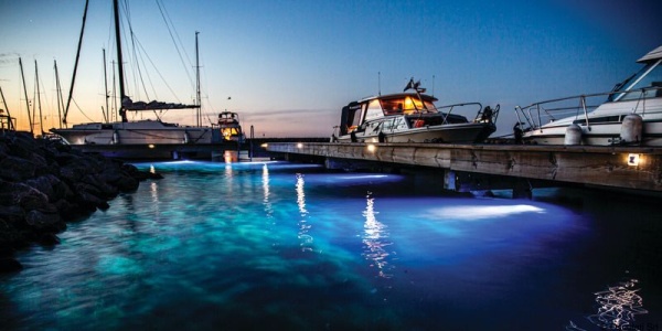 PIRANHA P4 LED Blau Polymer