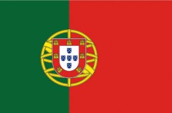 Flagge Portugal 30 x 45 cm