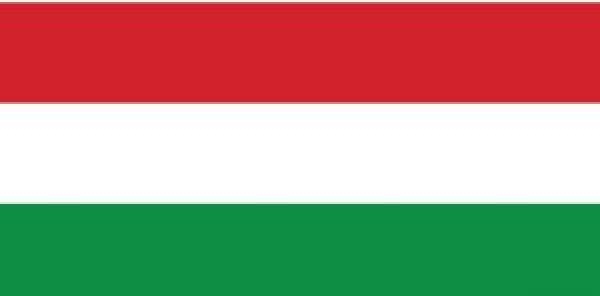 Flagge Ungarn 30 x 45 cm