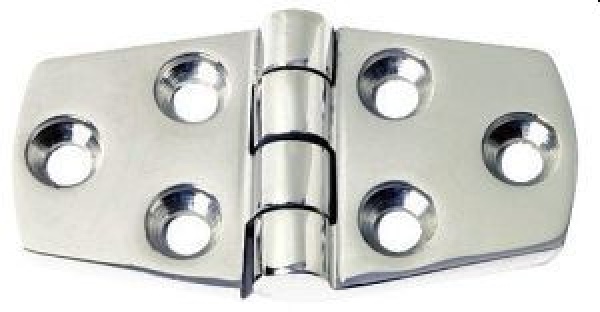 Scharnier, herausragender 5mm AISI316 38x100 mm