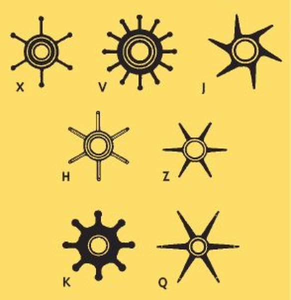 Impeller aus Neopren für Aifo Pumpe von Allpa