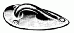 Augplatte m.Stehebolzen Messing,ver. 80x35x25 mm